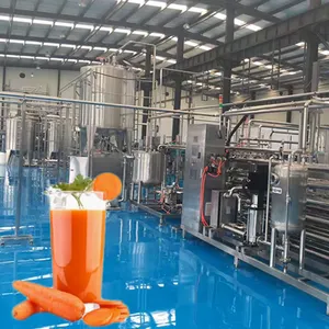 Extracteur de jus de carottes et de légumes, ligne de production de plantes