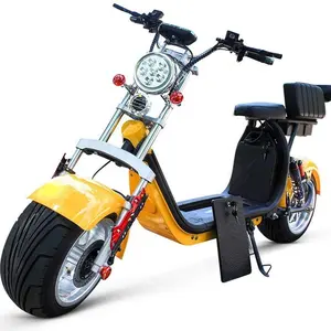 Yeni promosyon çeşitli 1000W 1500w 2000w uzun menzilli elektrikli scooter elektrikli motosiklet güçlü toptan Citycoco scooter