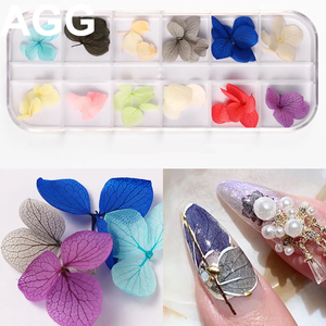 <span class=keywords><strong>AGG</strong></span> di Alta Qualità 12 di Colore Reale Bulk Secchi Fiore Secco per 3D Gel Acrilico Punte False Del Chiodo Decorazioni di Arte - Product Image 6
