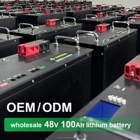 Batterie LiFePO4 tout-en-un 51,2 V 200 Ah pour rack de serveur avec BMS intelligent, communication CAN, protection IP54, garantie 3 ans