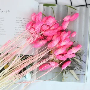 AYOYO - Flores Secas Decorativas al por Mayor para el Hogar, Bodas y Fiestas, 50 Piezas por Ramo, Hierba <span class=keywords><strong>de</strong></span> Joyas, Phalaris - Product Image 2
