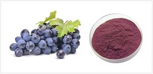 Suministro de fábrica, polvo de uva fresca, polvo de fruta de uva pura, polvo de fruta de uva Liofilizado - Product Image 2