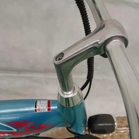 Vélo électrique en alliage d'aluminium de style européen avec pneu de 4,0 [FP-EB-LMT19002]