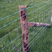 Clôture en fil de fer galvanisé à chaud pour porcs, moutons et chèvres - Product Image 5