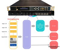 Encodeur vidéo IQ2 12-en-1 DVB-S/S2/S2X CI IRD 48 URL convertisseur IP prise en charge du protocole UDP M3U M3U8 HLS HTTP RTSP RTMP SRT Web
