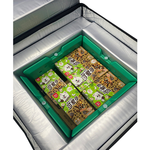 Ice Cream Freezer Food Delivery Thermal Cooler Container Cooler Box