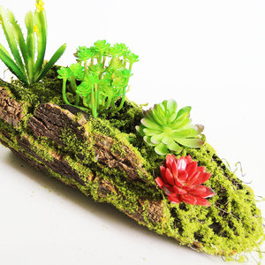 Ornements en plastique créatifs, ensemble de décoration de <span class=keywords><strong>jardin</strong></span> fait à la main, fenêtre, plante tropicale de la forêt tropicale, design d'angle, utilisation en extérieur/intérieur - Product Image 4