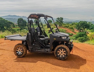 <span class=keywords><strong>Linhai</strong></span> tarchon 400 UTV 1000W Điện Tự động/CVT truyền động Diesel/nhiên liệu khí EPA/EEC chứng nhận - Product Image 4