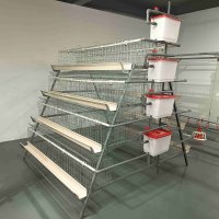 Système de cages en batterie pour poules pondeuses de type A à haute productivité pour la production d'œufs