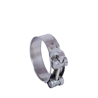Collier de serrage standard de haute qualité en acier inoxydable poli/acier galvanisé, modèle THEONE 19-252, pour tuyaux, à vis simple métrique