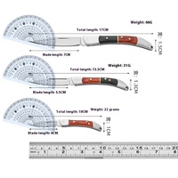 Draagbaar Mini Vouwmes Voor Outdoor & Camping Hoge Hardheid Roestvrij Staal Mes Hout Handvat Huishoudelijk Fruit Snijgereedschap