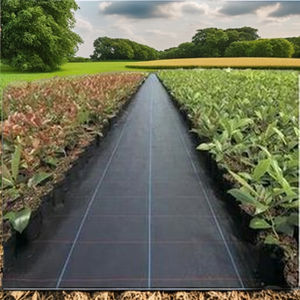 Paillis anti-<span class=keywords><strong>herbe</strong></span> 100 g/m² en agrotextile tissé pour un jardinage écologique - Product Image 4