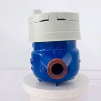 Medidor de Agua Inteligente IoT con Registro de Datos, Almacenamiento de Historial de 24 Meses, Intervalo de Carga NB-IoT Configurable, DN15 DN20, IP68