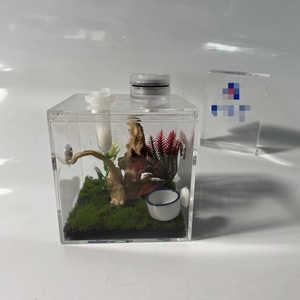 Wholesale High Clear Lucite Acrylic Jumping <b>Spider</b> Feeding Cage Reptile Enclosure for Breeding Observation Display - Product Image 3