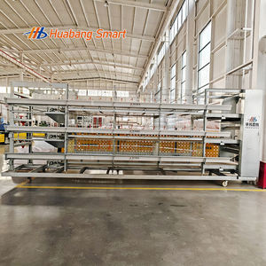 Gabbie per Polli da Carne Commerciali, Moduli per Gabbie Avicole, Sistema di Gabbie per Polli da Carne Completamente Automatico per Uso su Larga Scala - Product Image 3