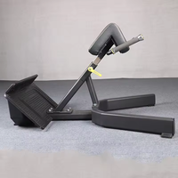 TAP Gym commercial utilisant une machine d'extension du dos à 45 degrés Banc de presse romain réglable Banc d'hyperextension