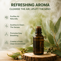 Huile d'eucalyptus pure, huile essentielle distillée à la vapeur, d'origine naturelle, matière première pour les soins personnels, savon, lotion, produits ménagers