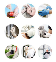 Guantes Desechables de Nitrilo de 3 Mil para Salón de Belleza y Tatuajes, con Logotipo Personalizado, Sin Látex ni Polvo, con Dedos Texturizados