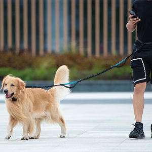 Guinzaglio Telescopico Personalizzato 2025 in Nylon per Cani, Riflettente, per Corsa all'Aperto, Senza Mani, Corda di Trazione Solida, Semplice e alla Moda - Product Image 6
