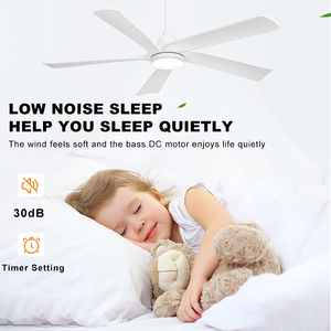 42Inch 52 ''Điện BLDC Quạt Trần Nhựa Lưỡi Trang Trí Phòng Khách Phòng Ngủ Quạt Trần Với Điều Khiển Từ Xa - Product Image 5