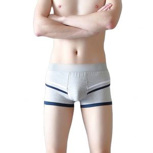 Nouveauté été 2021, caleçons pour hommes en coton, sous-vêtements rayés, caleçons et boxers mignons pour hommes, tendance jeunesse, sous-vêtements grande taille - Product Image 1