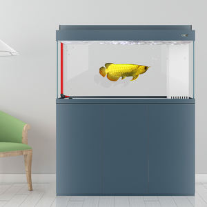 ถังปลา<span class=keywords><strong>มังกร</strong></span>แบบสั่งทำ,ตู้ปลาอุปกรณ์ตู้ปลาแก้วอะคริลิคสีทองเสียงเงียบมาก - Product Image 5