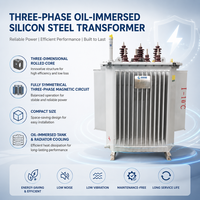 Transformador toroidal de núcleo inmerso en aceite de grado I S22-M.RL de bajo consumo energético para redes rurales y subestaciones