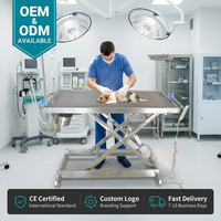 Table d'examen vétérinaire en acier inoxydable avec hauteur réglable et surface antidérapante pour chiens, chats et petits animaux