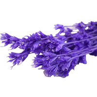 Bouquet de fleurs décoratives multicolores en nigelle et anis étoilé, fait main, longue durée (3-5 ans), idéal pour la maison et la fête des Mères