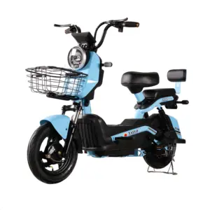 Ebike-bicicleta eléctrica de 14 pulgadas para adultos, bici con neumático ancho, doble batería, 48v, motor de arranque motorizado sin escobillas