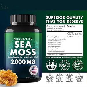 OEM Sea Moss Kapseln Irish Sea Moss Advanced mit Kletten wurzel Super food Sea Moss Supplements Pille - Product Image 2