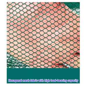 耐用的双结折叠渔笼虾和鳗鱼诱捕器提升网，用于鱼类和水生生物，由尼龙制成 - Product Image 6