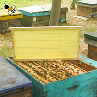 Neue Holz-Langstroth-Bienenstockrahmen mit integriertem Edelstahldraht, 20er-Pack und Wachsfundament
