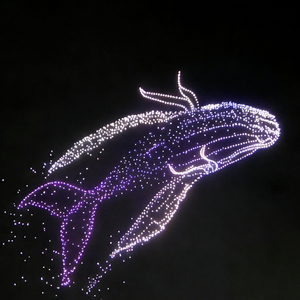 Système de drones de spectacle lumineux Skylink amélioré <span class=keywords><strong>avec</strong></span> service de feux d'artifice pour drones et solution publicitaire sur <span class=keywords><strong>écran</strong></span> - Product Image 5
