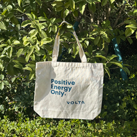 Sacs fourre-tout en toile personnalisés OEM/ODM avec logo, sacs de shopping réutilisables, sacs à main de luxe personnalisés pour femmes