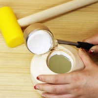 Cocodrill Outil d'ouverture de noix de coco jeune facile et sûr à utiliser Ensemble d'ouvre-noix de coco en acier inoxydable avec marteau en PE jaune