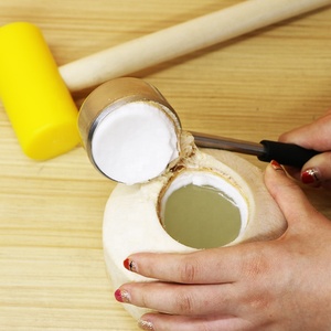 Cocodrill Dễ Dàng Và An Toàn Để Mở Công Cụ Mở Dừa Trẻ Bộ Dụng Cụ Mở Dừa Bằng Thép Không Gỉ Với Búa PE Màu Vàng - Product Image 6