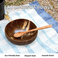 Bols à smoothie et salade classiques en coque de noix de coco jetables, écologiques et de haute qualité, pour la décoration de cuisine de camping et les cadeaux végétaliens