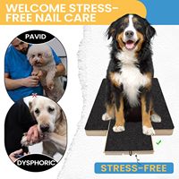 Planche à gratter pour ongles en bois pour chien avec boîte à friandises