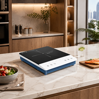 Cuisinière à induction portable 2000W, plaque chauffante électrique avec écran tactile, minuterie, 8 modes, économie d'énergie