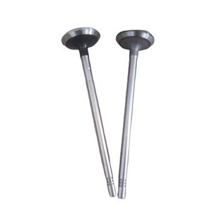 Vanne de moteur pour Mitsubishi fusibles F1C 4P10 F30DTE, pièces détachées pour voiture - Product Image 1