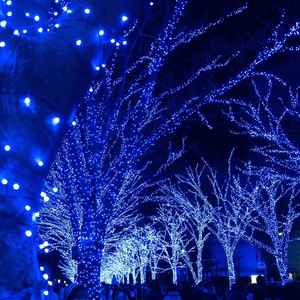 Guirnalda de Luces Gloca de 100 LED, 10 Metros, Cable Blanco, IP65, Luz Azul, Decoración Interior y Exterior - Product Image 5