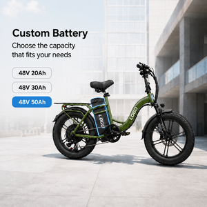 Bicicleta Eléctrica de Carga de Gran Capacidad, 48V 50Ah, Llanta Gruesa de 20 Pulgadas, Motor en el Buje Trasero, 7 Velocidades, Freno de Disco, Cuadro de Acero - Product Image 1