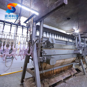 100Bph-3000Bph Planta de Procesamiento de Pollo Halal Musulmán Matanza Máquina de Matar Pollos Equipo para Matadero de Aves - Product Image 3