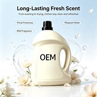 OEM Kustom Ramah Lingkungan Portabel Antibakteri Bebas Fluoresen Cuci Pakaian Jasmine Label Pribadi Lembut untuk Kulit Sensitif