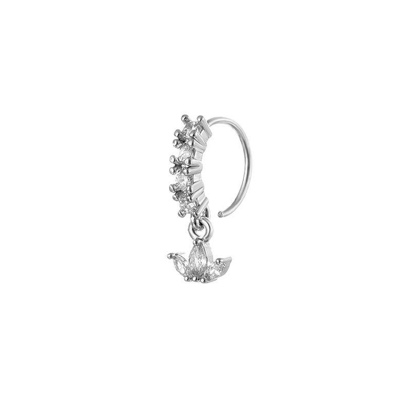 Argent 6