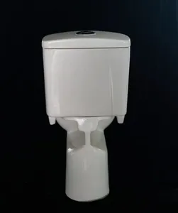 Hot Sale S Trap 2 Piece Ceramic Custom Logo Bathroom Toilet For Home