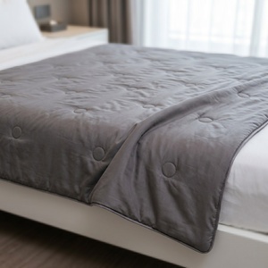 Couette rafraîchissante légère et lavable, qualité hôtelière, pour l'été, gris argenté, pour usage hôtelier - Product Image 1