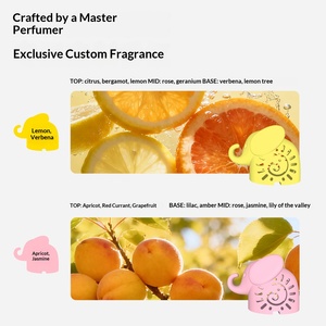 Bola Desodorante Aromática Amarilla para <span class=keywords><strong>Zapatos</strong></span>, Armarios y Baños - Product Image 5