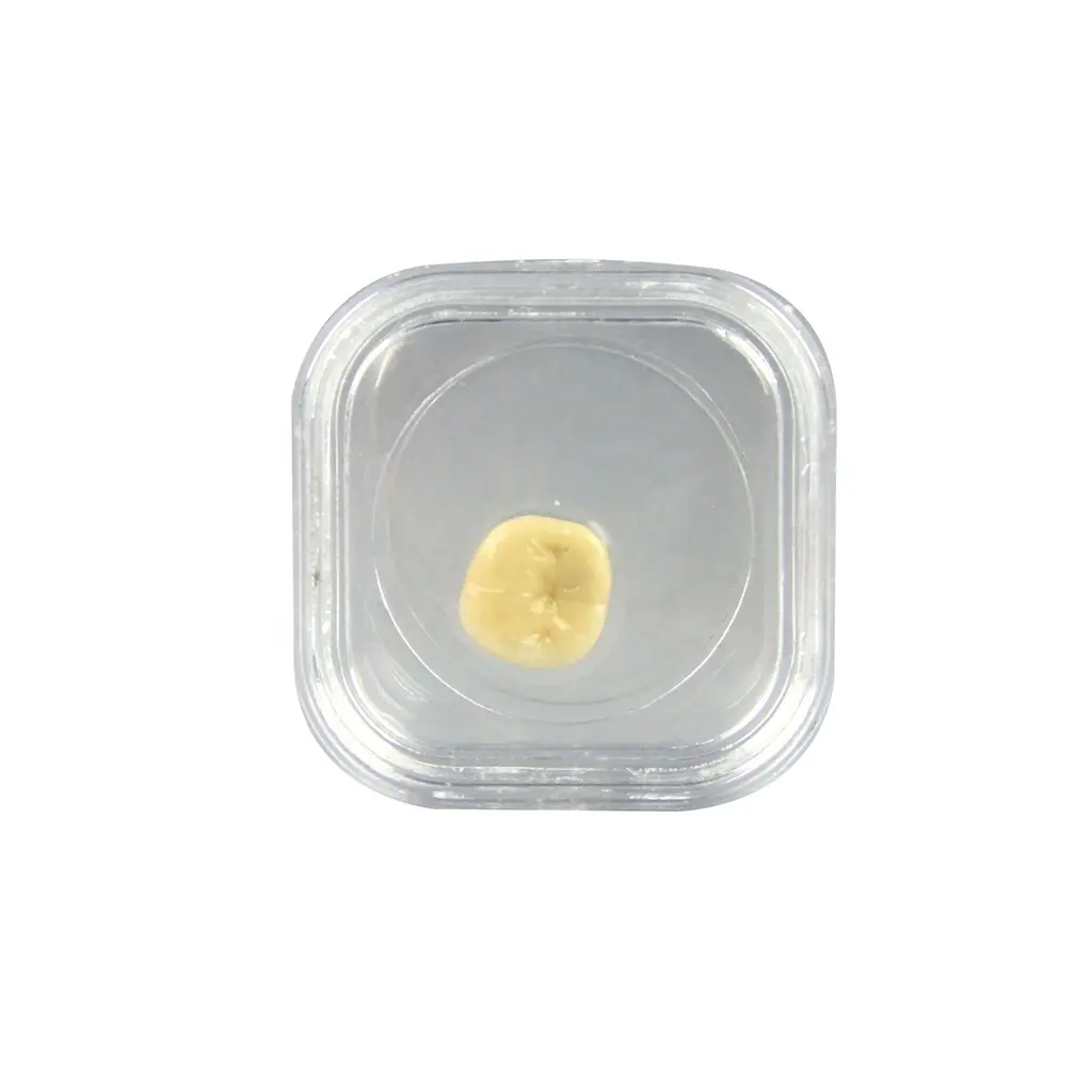Hot Selling Transparent Plastic Dental Tooth Box with Membrane